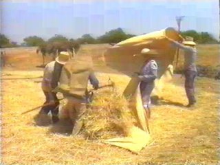 CAMPO - (97)  LABRANZA
